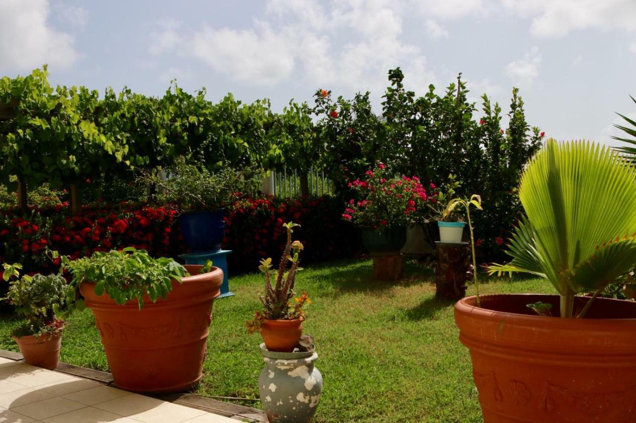 Bed & Breakfast 6 Suites Piscine Et Plage Pointe Faula Le Vauclin Exterior photo
